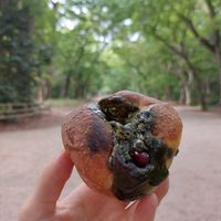 Matcha Soy filled bread at Apelila in Kyoto