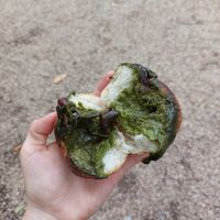 Inside at Apelila in Kyoto