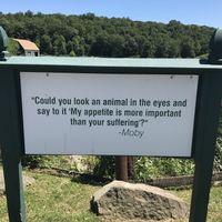 Moby at Catskill Animal Sanctuary in Saugerties