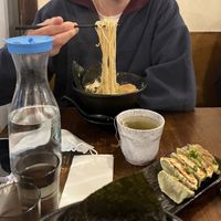 Gyoza, noodles, green tea  at Mr. Ramen San in Melbourne