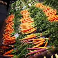  at Bunbury Farmer's Market in Bunbury