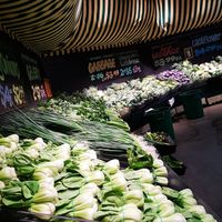  at Bunbury Farmer's Market in Bunbury