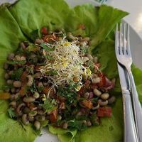 Jeijao salad at Quinta Verde in The Hague