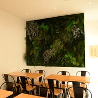 Cute wall decoration at Season Square in Paris