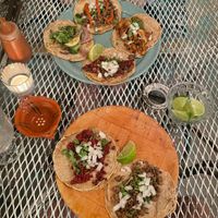 All Tacos on Menu at La Rana Vegana in Cabo San Lucas