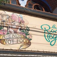 Street front at La Rana Vegana in Cabo San Lucas