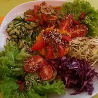 raw cusine at L'Essentiel Saveurs Crues in Montpellier