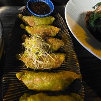 Gyoza at Kumo Izakaya & Sake Bar in Brunswick East