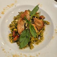 Pesto ~ 11/1/24 at Veganerie - Ratchathewi in Bangkok