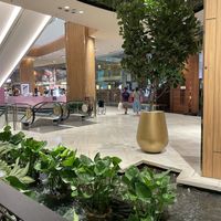 View from Veganerie (Siam Paragon), Bangkok  at Veganerie - Ratchathewi in Bangkok