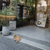  at Veganerie - Ratchathewi in Bangkok