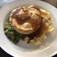 Notdog  at Piecaramba in Winchester