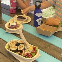 Sushi, oat bowl, vegan cheesecake and burger  at Zens Kitchen Food Truck in Murchison