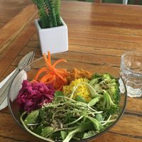 Earth love bowl  at Max & Bee Juicery in Willemstad