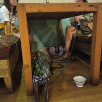 Las perris encantadas at Soul Kitchen in Avila