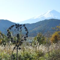 View from the gardens at Sakuya Guesthouse in Fujikawaguchiko