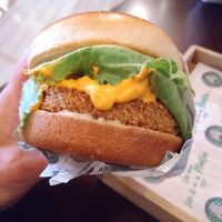 Antares Crisp 😋 at Ahimsa Burgers in Florianopolis