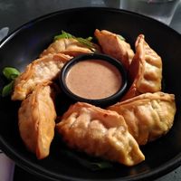 Dumplings at LOV - McGill in Montreal