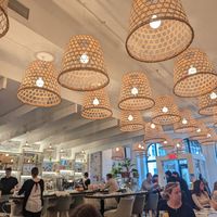  at LOV - McGill in Montreal