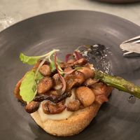   at LOV - McGill in Montreal