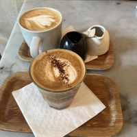   at LOV - McGill in Montreal