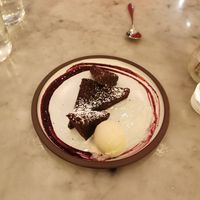 Brownie at LOV - McGill in Montreal