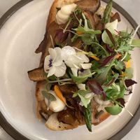 Toast with mushrooms   at LOV - McGill in Montreal