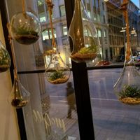 beautiful decor at LOV - McGill in Montreal