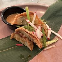 Dumplings  at LOV - McGill in Montreal