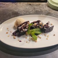 Brownie at LOV - McGill in Montreal