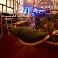 Cool Swing Chairs  at LOV - McGill in Montreal