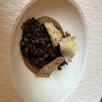 Tempeh  at Avelo in Toronto