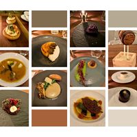 8 courses  at Avelo in Toronto