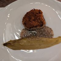 Cauliflower Mushrooms, Endive, Mustard at Avelo in Toronto