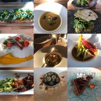 Our delicious dinner. at Avelo in Toronto