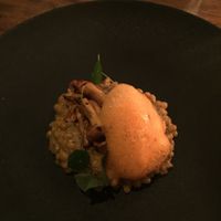 Mushroom risotto  at Avelo in Toronto
