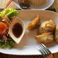 excellent vegan gyoza at Vegan Heaven in Chiang Mai