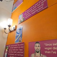  at Vegan Heaven in Chiang Mai