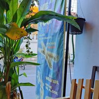 at Vegan Heaven in Chiang Mai