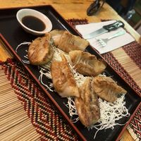   at Vegan Heaven in Chiang Mai