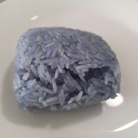 Blue sticky rice 🍚💙 at Vegan Heaven in Chiang Mai
