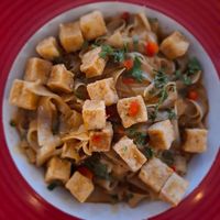  at The Lazy Turtle  in Palm Beach