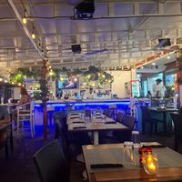  at The Lazy Turtle  in Palm Beach