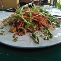Regular pad Thai at Happy Veggie in Koh Lanta