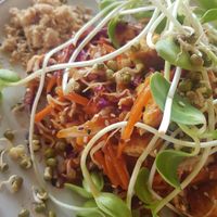 Raw Pad Thai at Happy Veggie in Koh Lanta