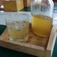 Lemon ginger kombucha at Happy Veggie in Koh Lanta