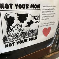 Not your mum not your milk! at Herbivore Eatery in South Yarra