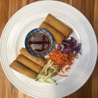 Spring rolls at Pura Vegan in Tamarindo