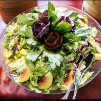 Pretty salad at Eurasia Restaurante Vegetariano in Albufeira