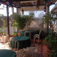 Patio garden (from social media) at Eurasia Restaurante Vegetariano in Albufeira